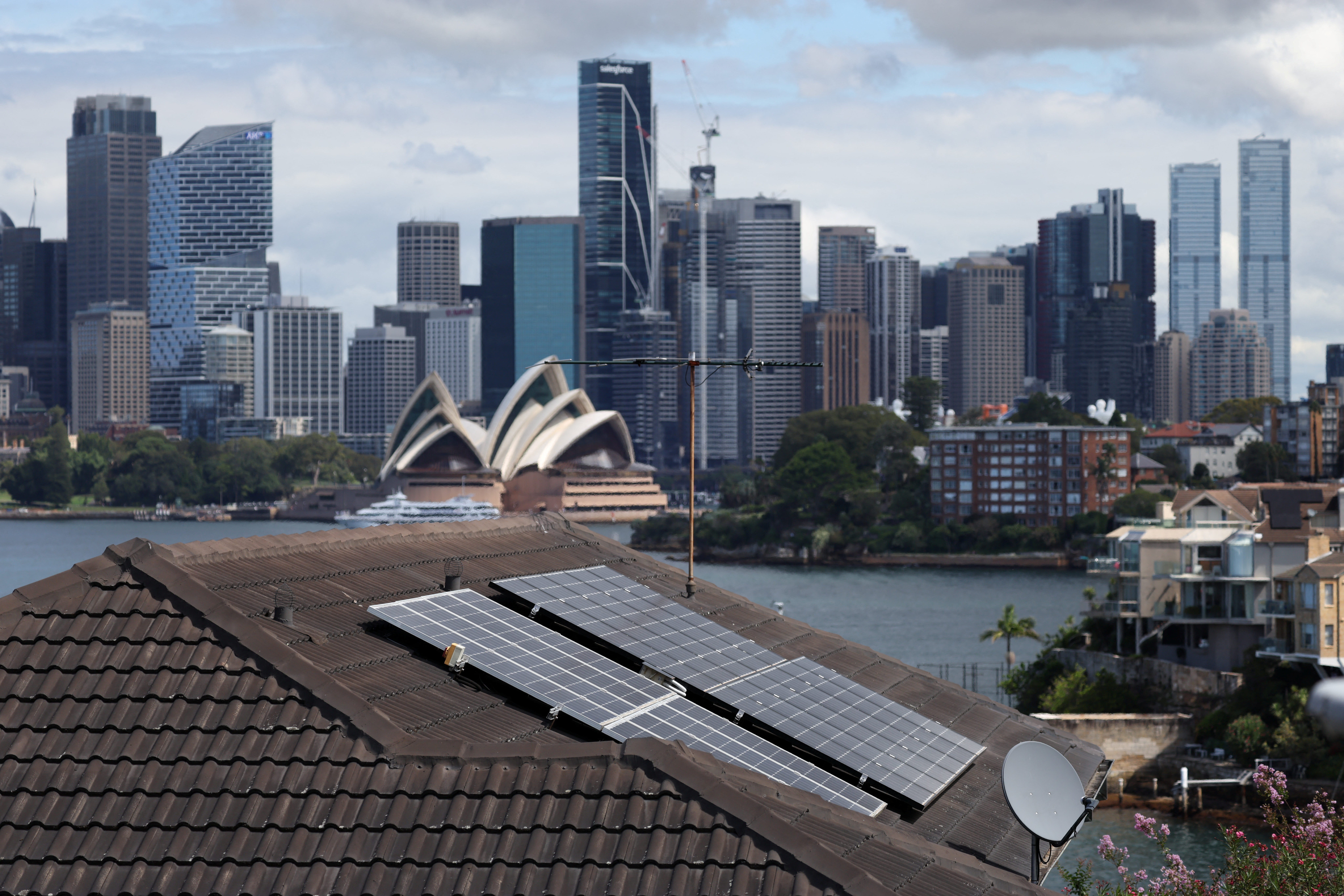 Solar panels on the roof of a residential property in Sydney