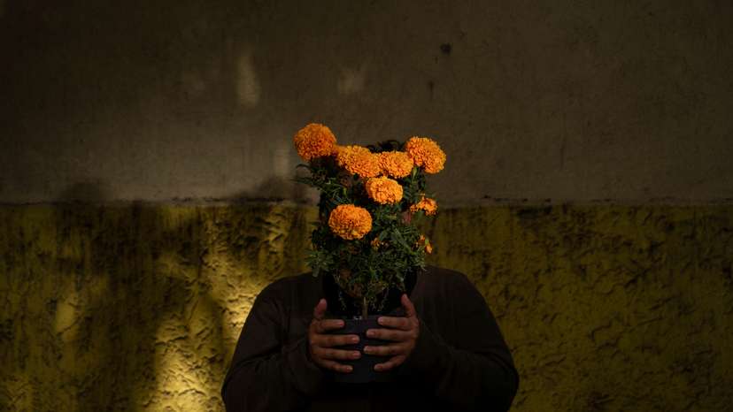 Mexico mental health center grapples with extreme violence against migrants