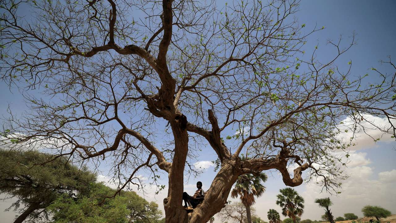 Fleeing Sudanese seek refuge in Chad