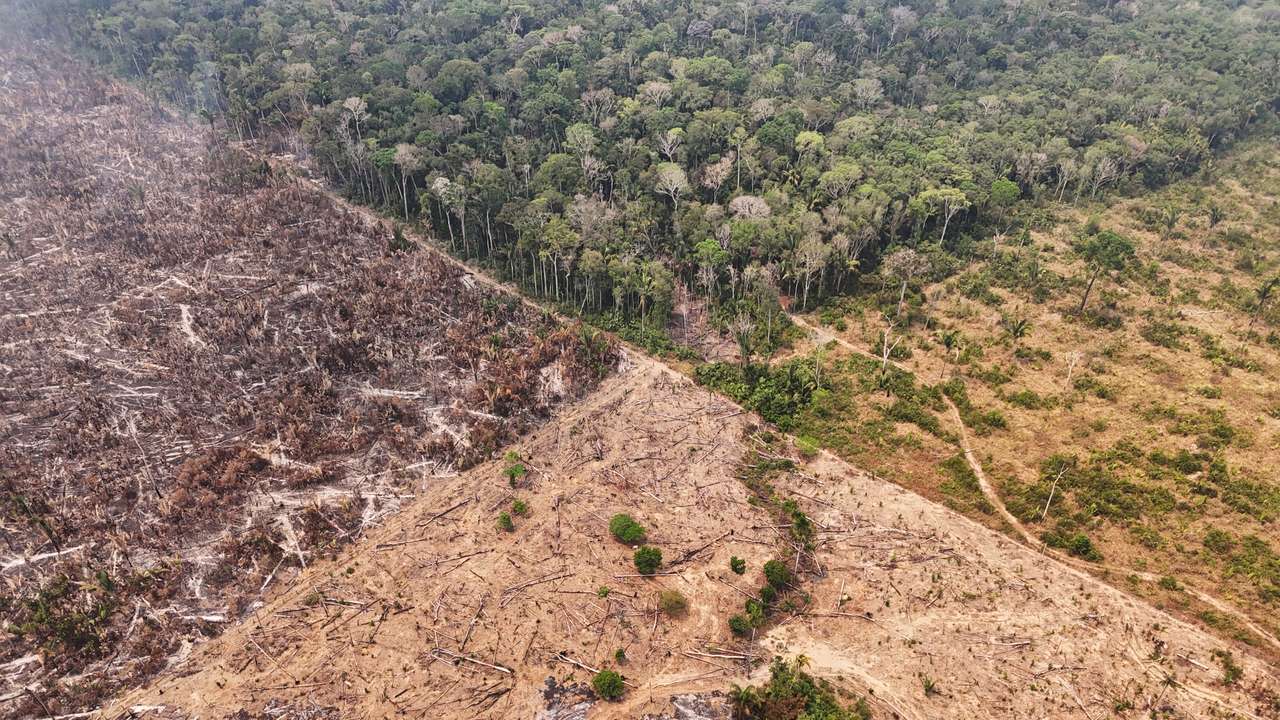 FILE PHOTO: Forest fires in the Amazon