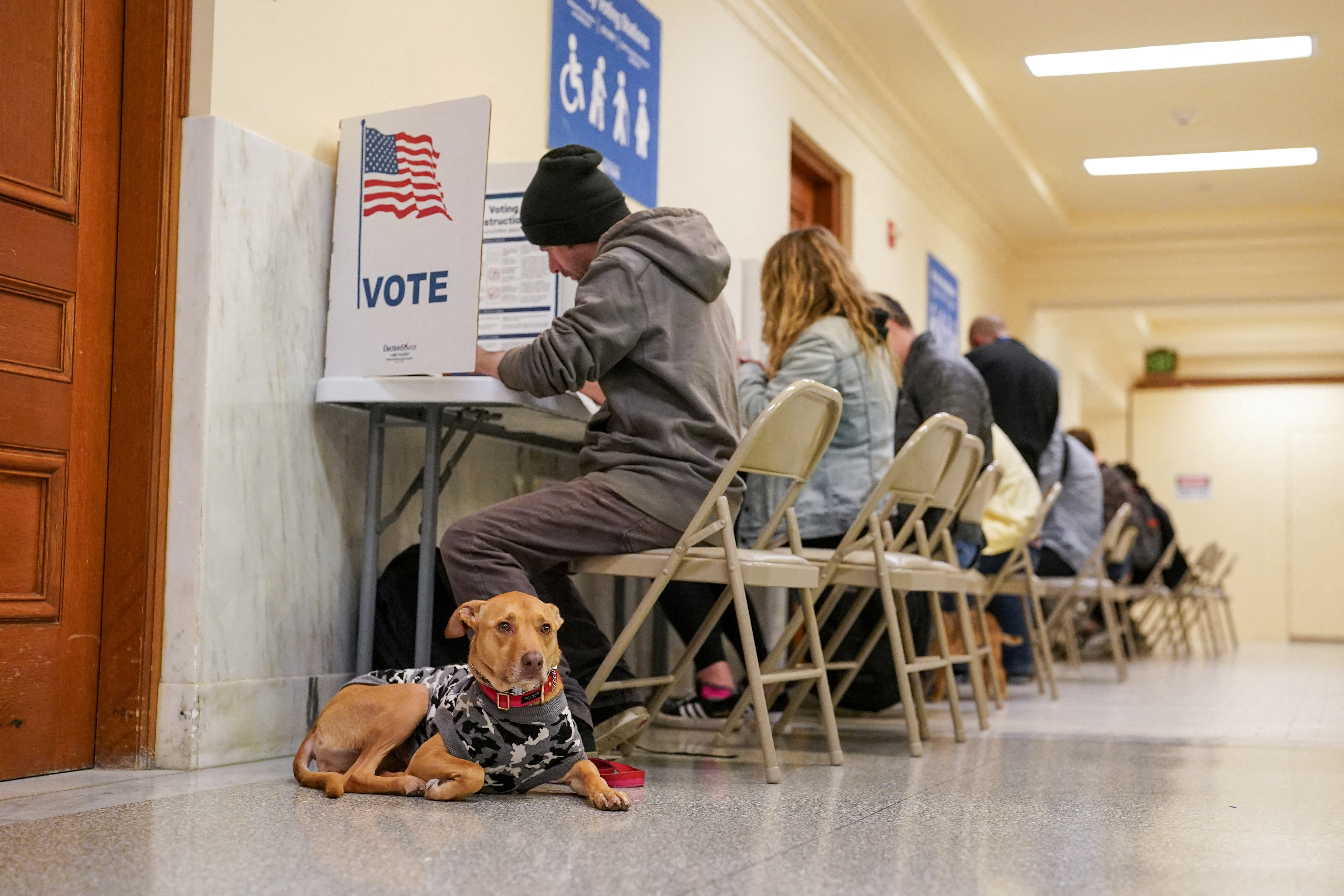 A dog waits for its owner to finish voting at the San Francisco City Hall voting center in San Francisco