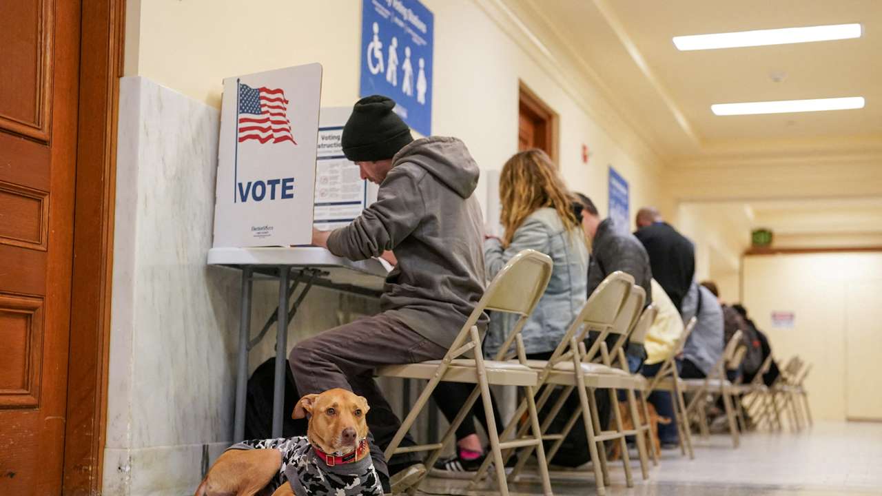 A dog waits for its owner to finish voting at the San Francisco City Hall voting center in San Francisco
