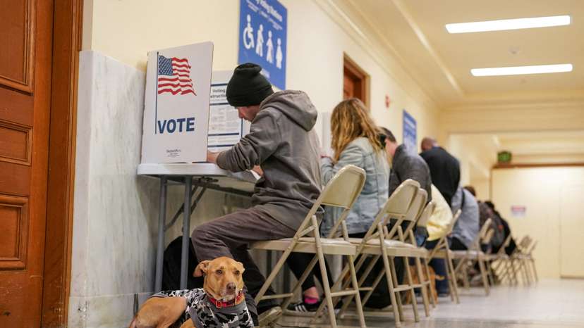 A dog waits for its owner to finish voting at the San Francisco City Hall voting center in San Francisco