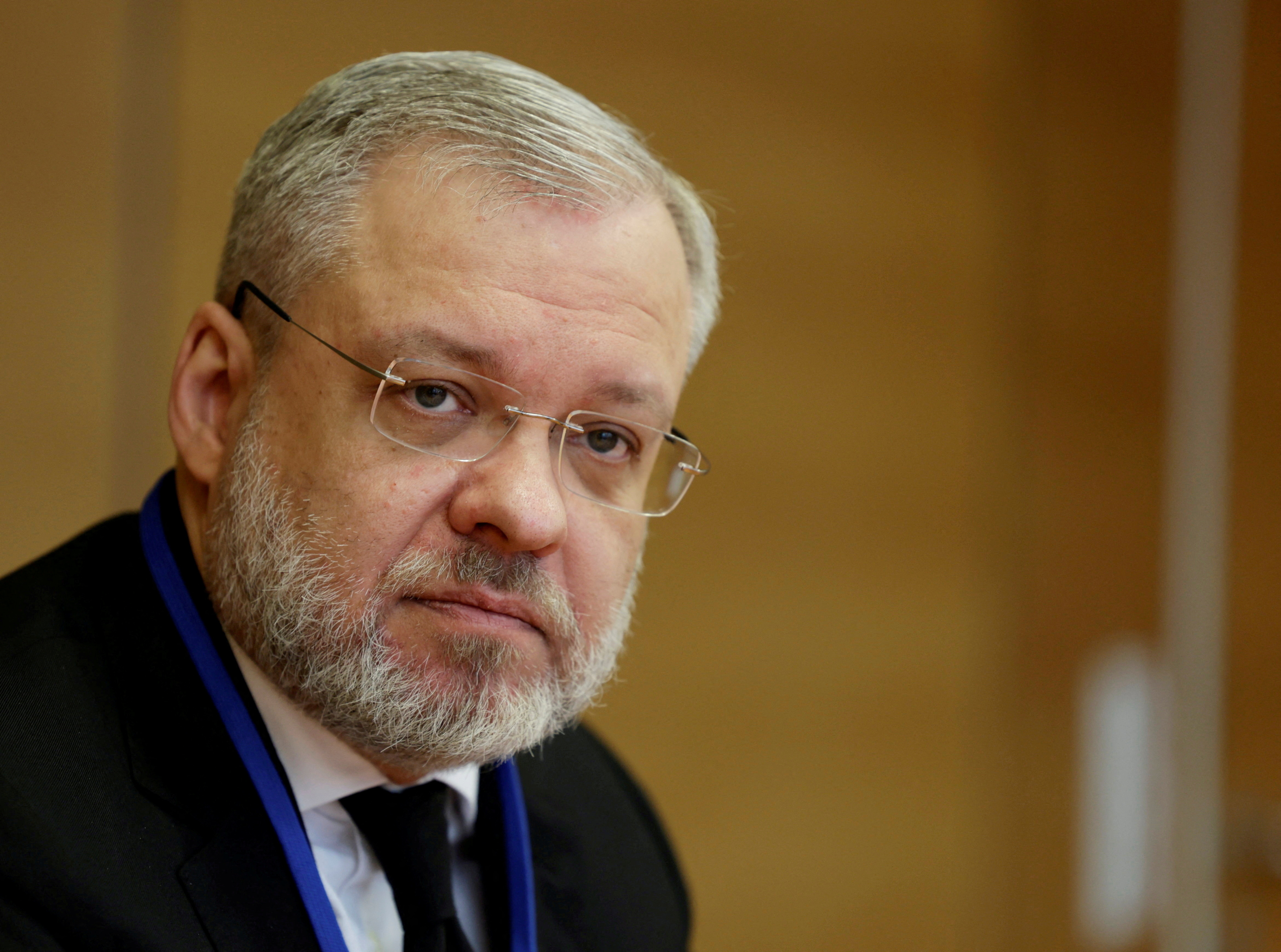 FILE PHOTO: Ukrainian Energy Minister German Galushchenko attends a press conference at the U.N. nuclear watchdog IAEA in Vienna