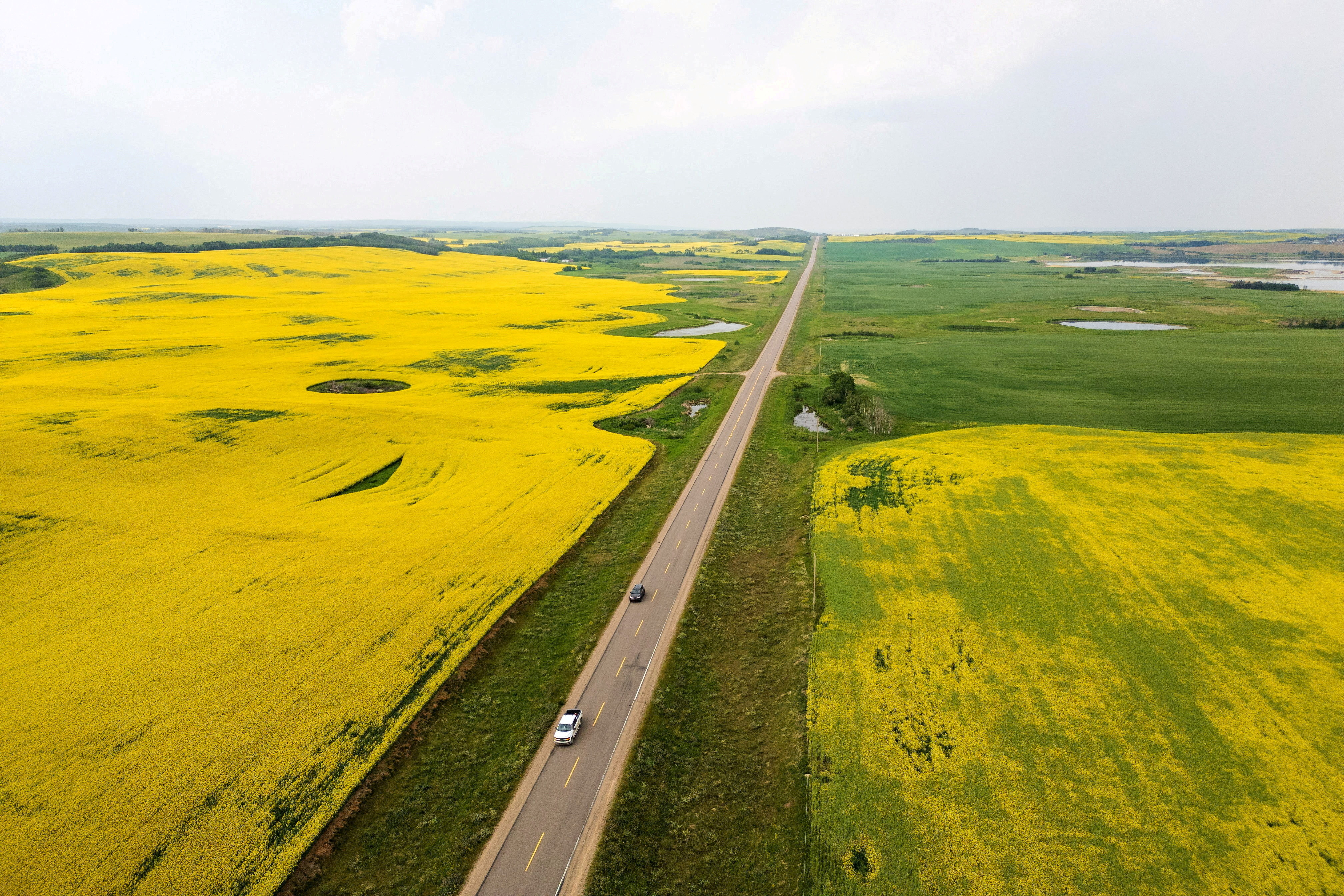 FILE PHOTO: Drone view shows canola fields flowering near Blaine Lake