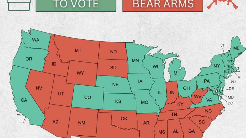 WhatsApp Image 2025-12-03 at 11.14.04