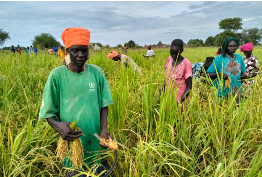 South Sudan Women in Warrap