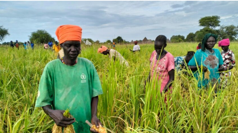 South Sudan Women in Warrap