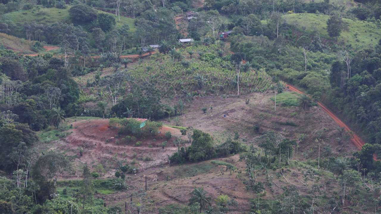 A deforested area in the middle of the jungle is seen during a military flyover in Tumaco
