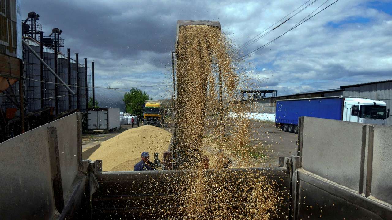 FILE PHOTO: A worker loads a truck with grain at a terminal during barley harvesting in Odesa region