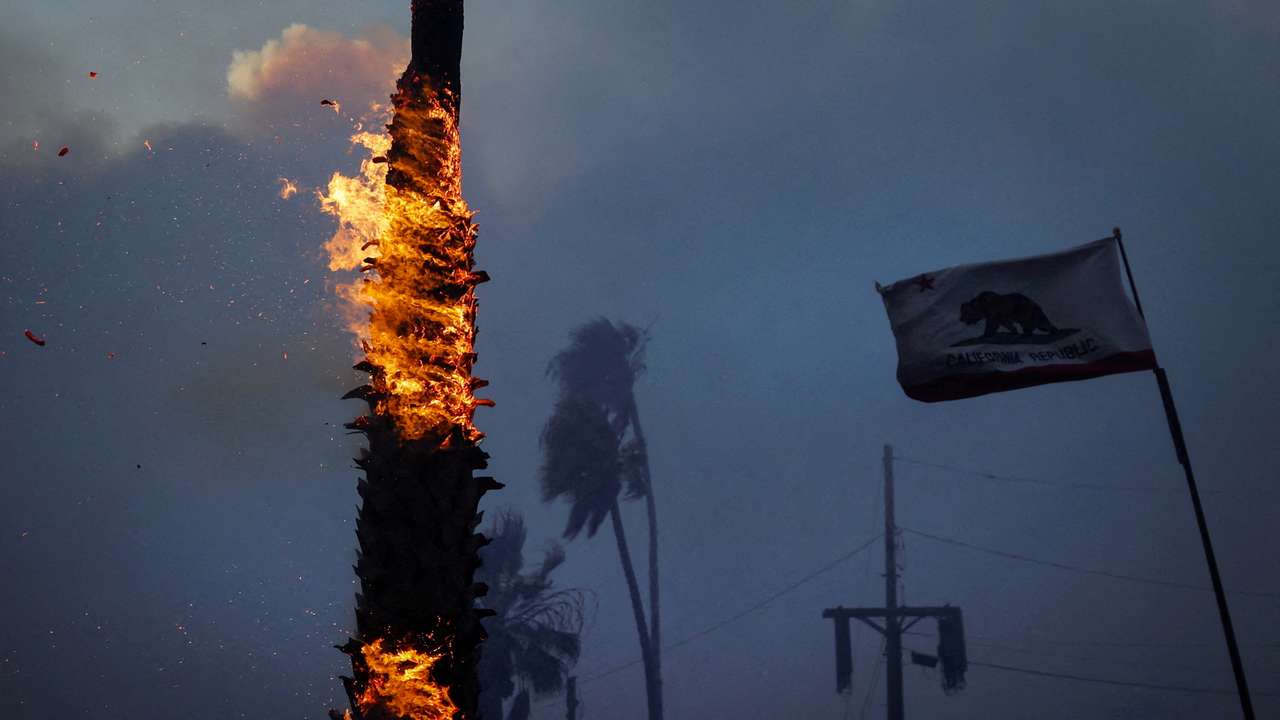 FILE PHOTO: The Wider Image: 'The worst I've seen:' Reuters visuals journalists on the LA wildfires