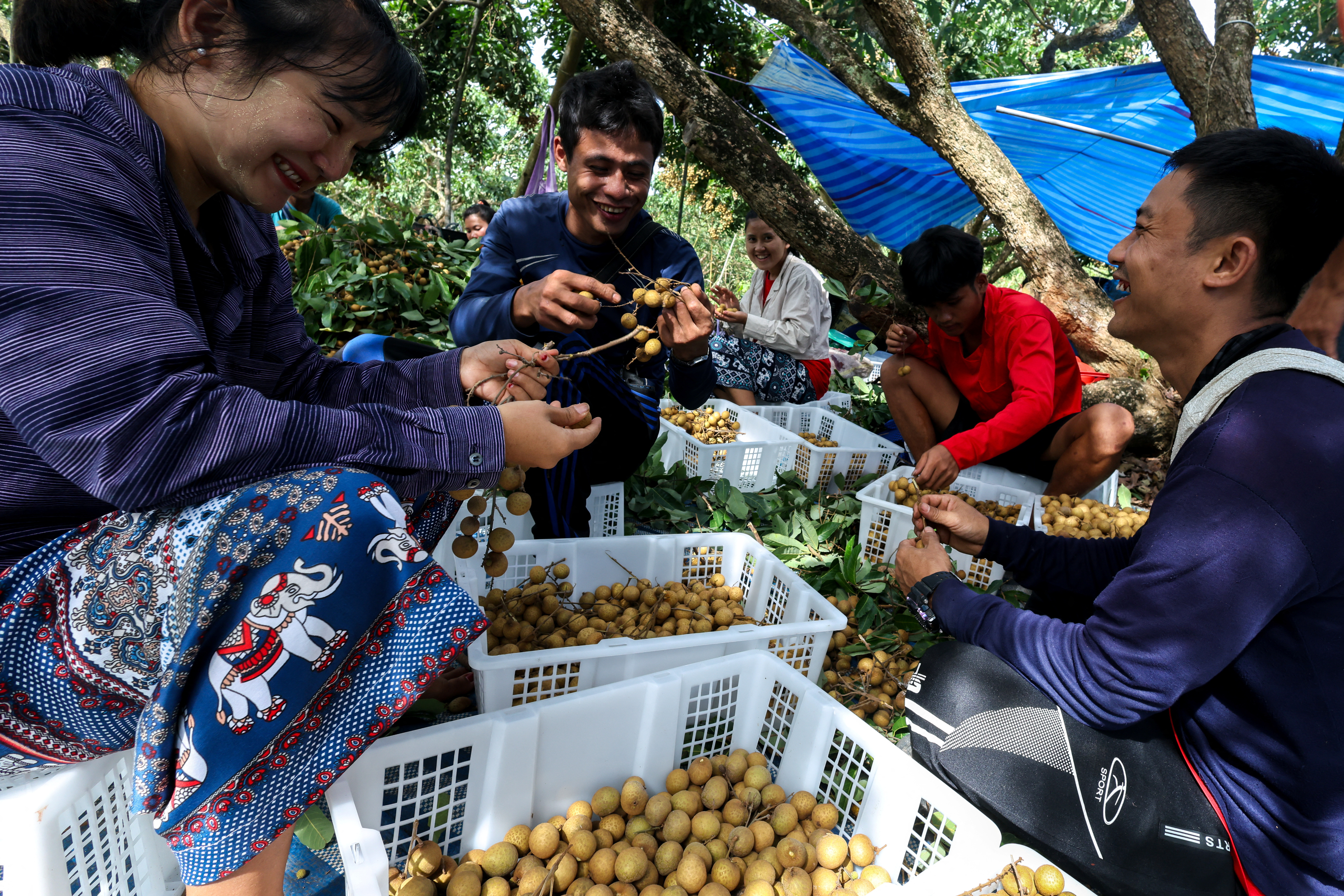 'Escape from hopeless life', Burmese refugee's hope renewed after new Thai labour law