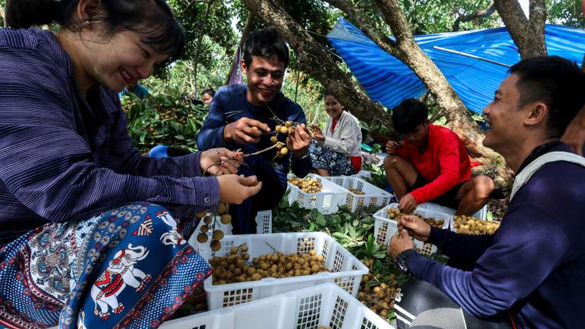 'Escape from hopeless life', Burmese refugee's hope renewed after new Thai labour law