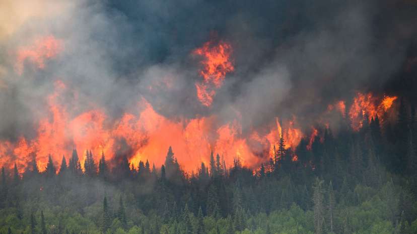 FILE PHOTO: Flames reach upwards along the edge of a wildfire as seen from a Canadian Forces helicopter in Quebec