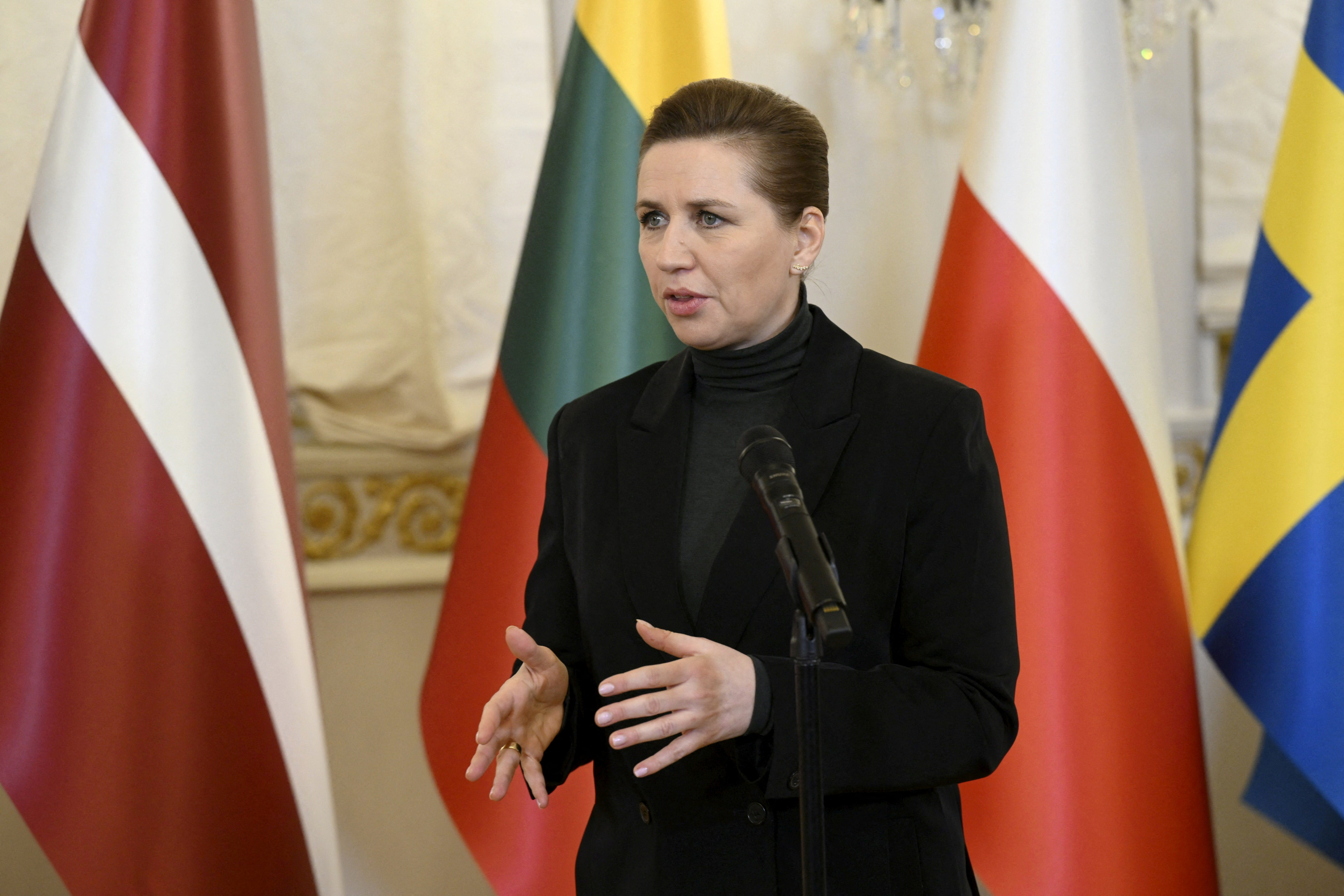 Summit of the Baltic Sea NATO countries in Helsinki