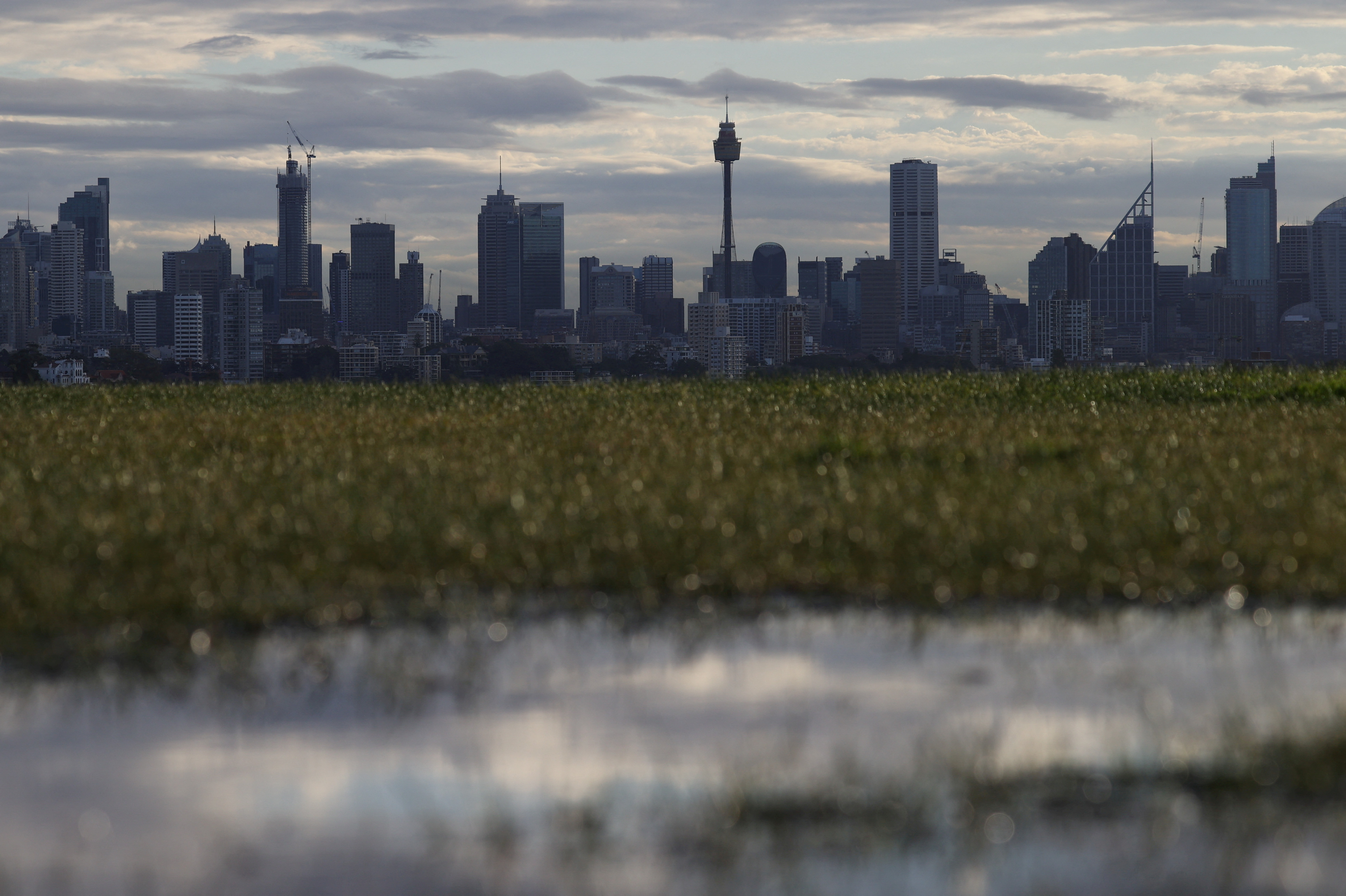 FILE PHOTO: The city centre skyline is seen in Sydney