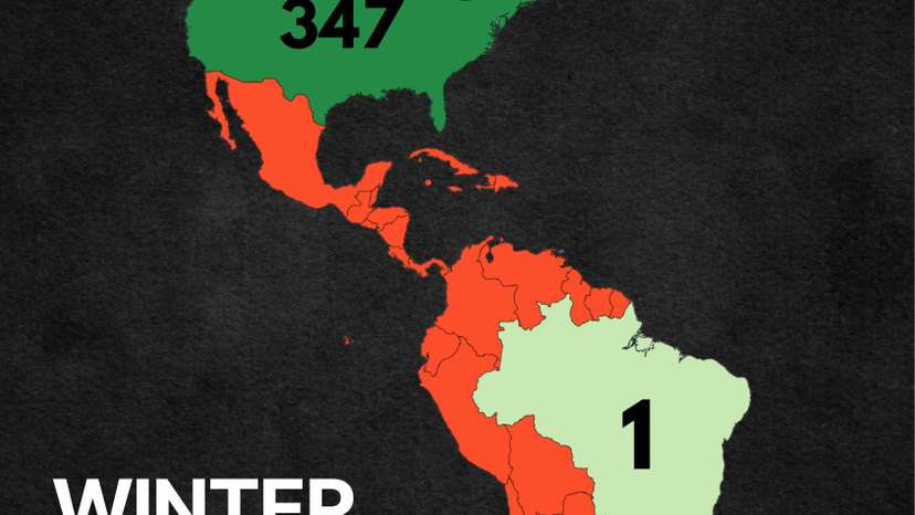 WhatsApp Image 2026-02-14 at 19.23.28