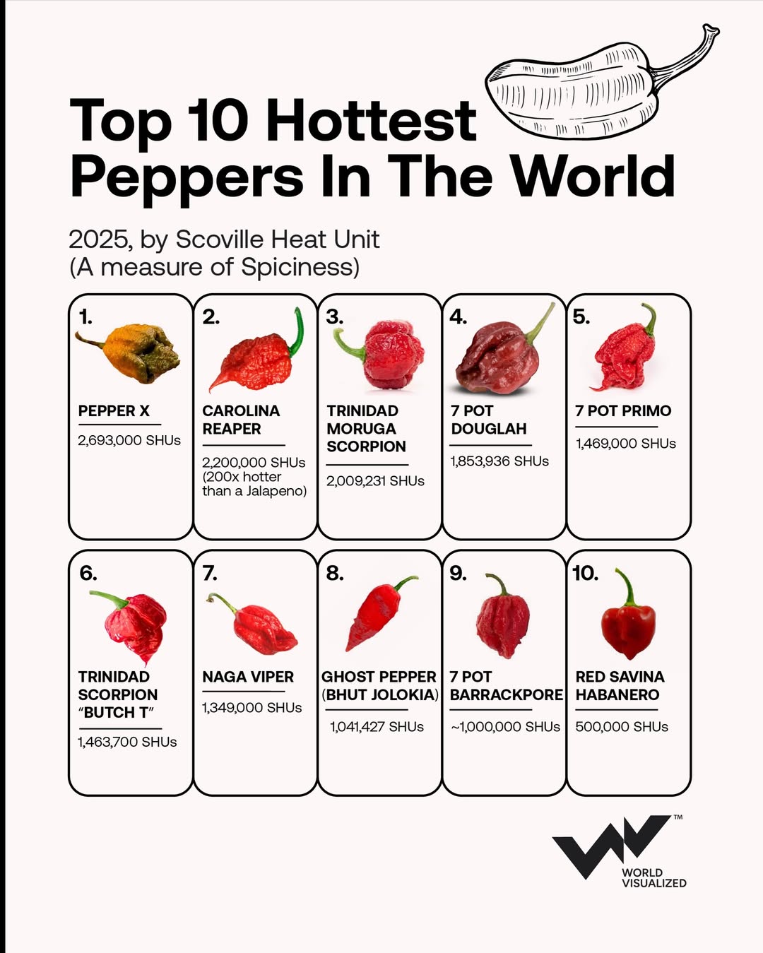 SnapInsta.to_625182326_17939135835119481_9102118233586084133_n