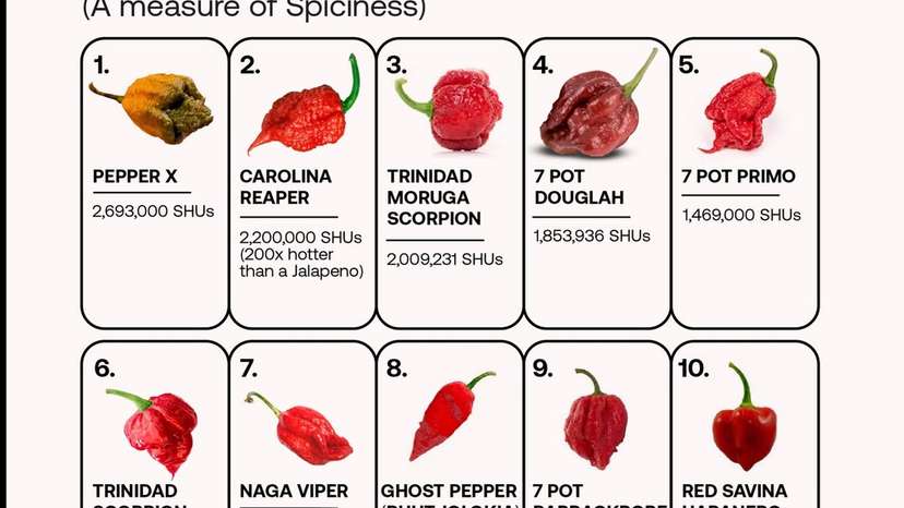 SnapInsta.to_625182326_17939135835119481_9102118233586084133_n