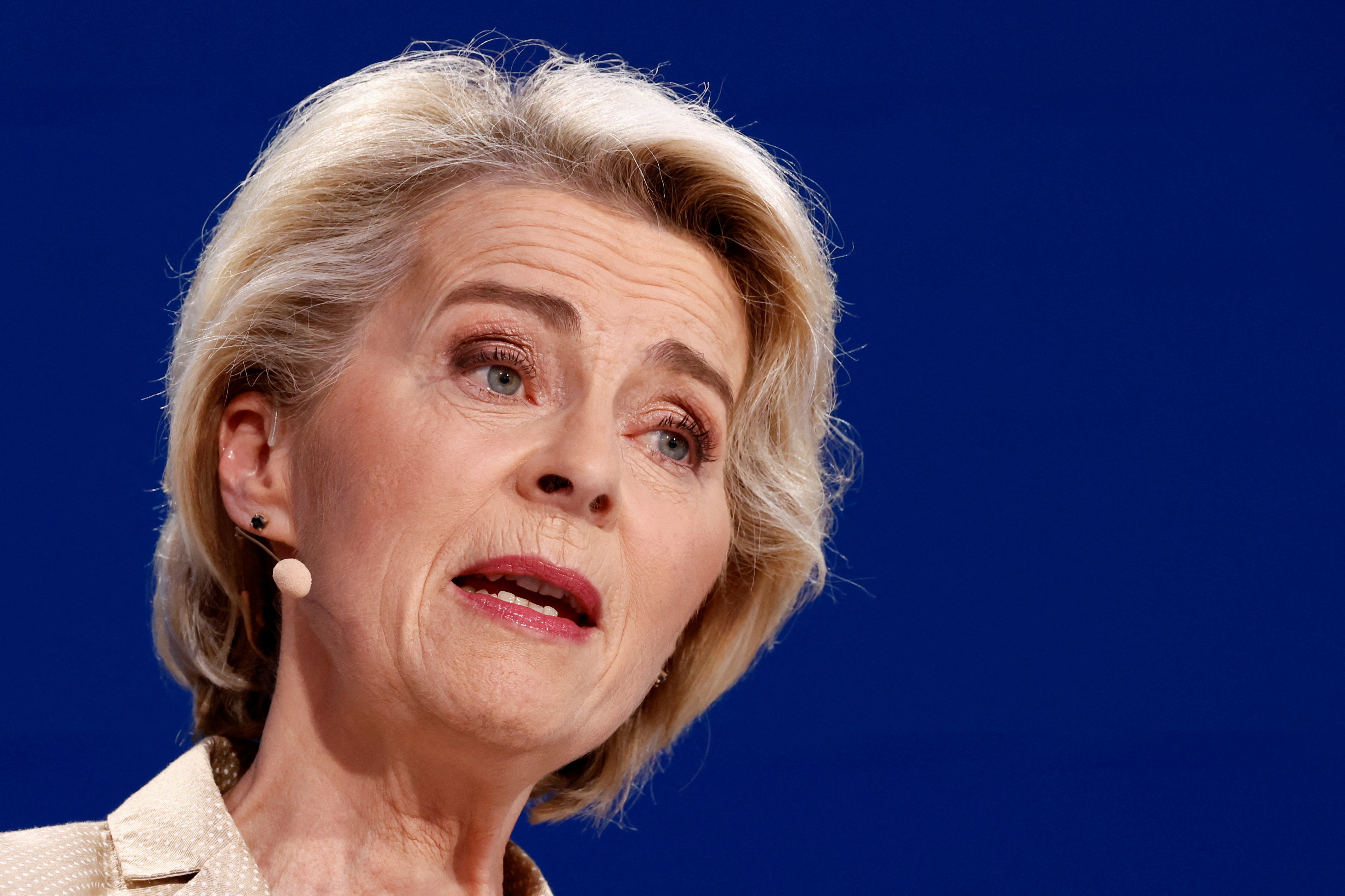 FILE PHOTO: European Parliament elections, in Brussels