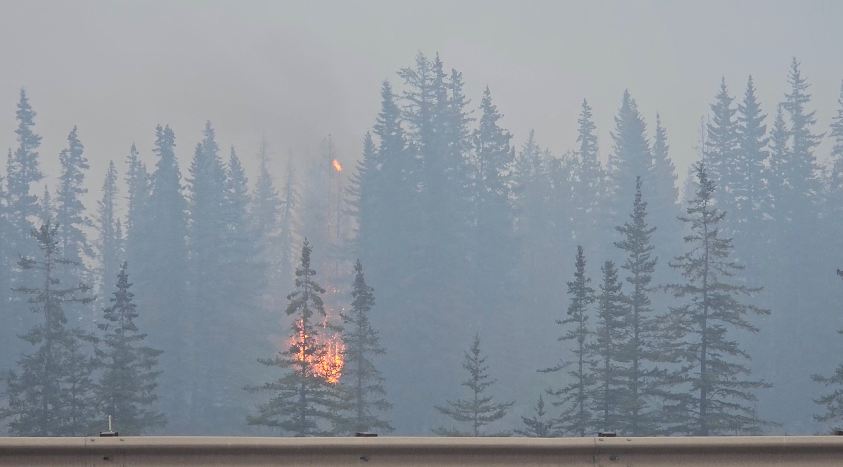 Wildfire burns in Jasper
