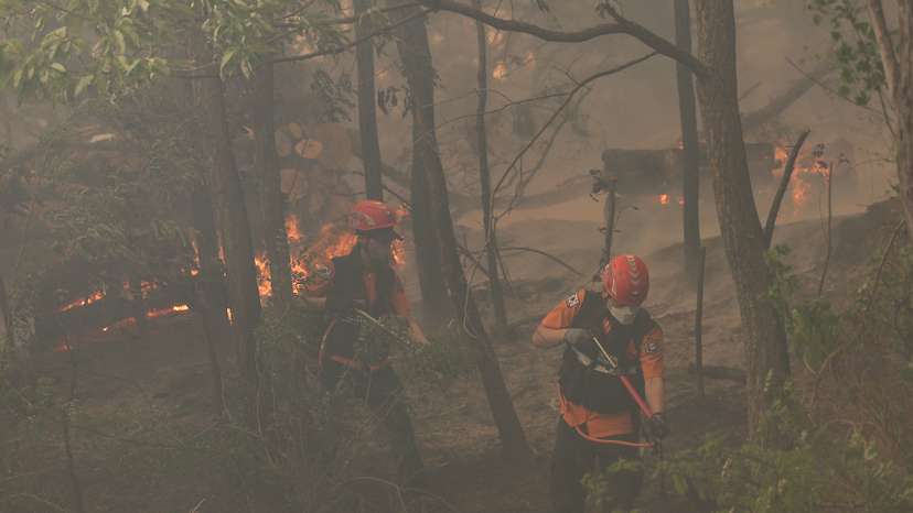 Wildfire in Daegu