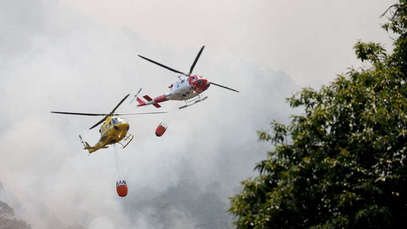 FILE PHOTO: Tenerife forest fire, Canary Islands