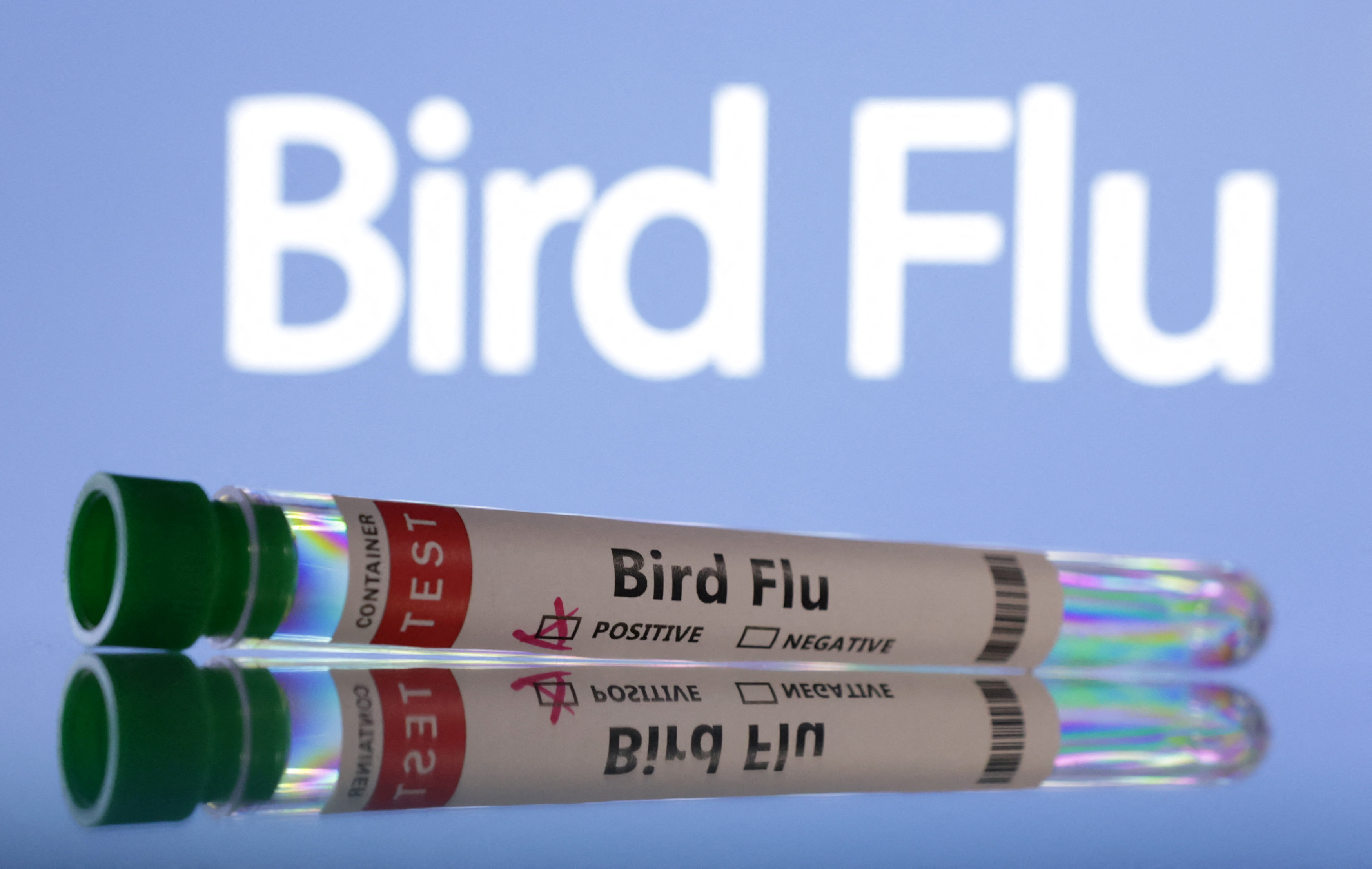 Illustration shows test tubes labelled "Bird Flu" words