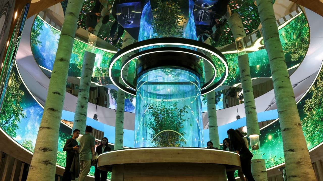 COP29 climate summit in Baku