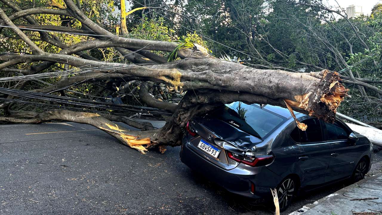 Aftermath of heavy rains in Sao Paulo
