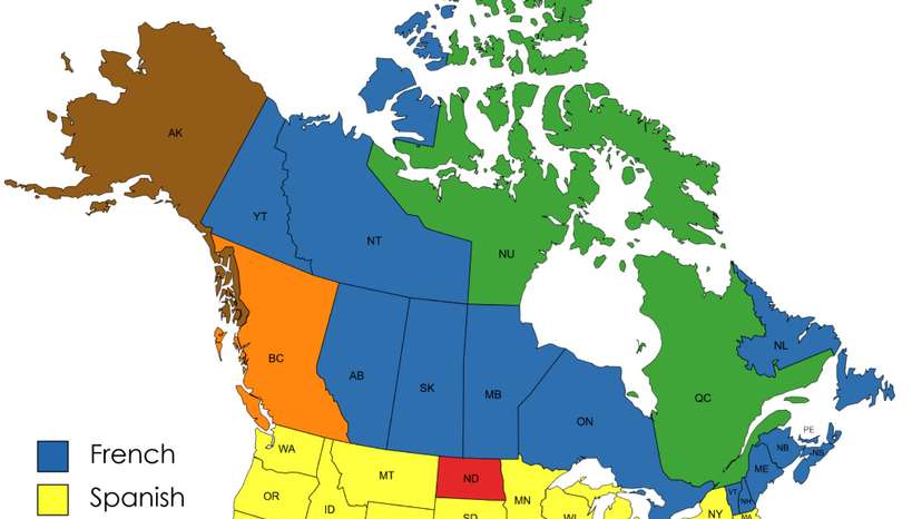 WhatsApp Image 2026-02-13 at 15.57.00