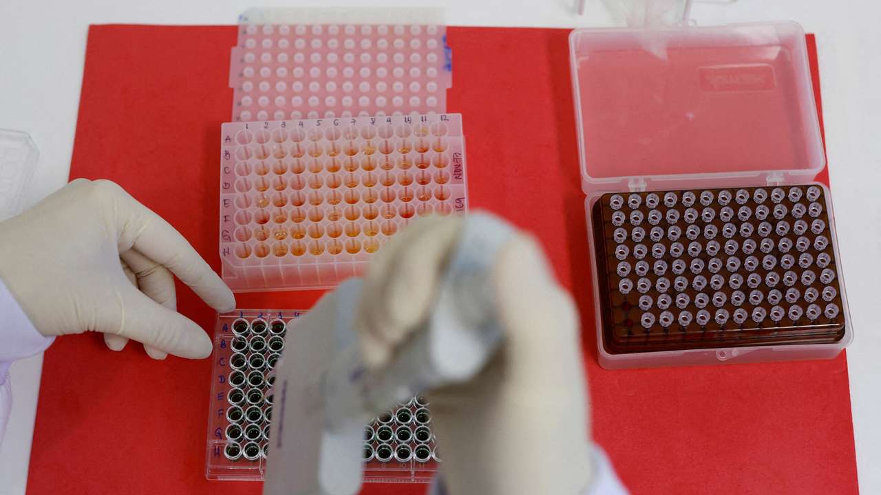 FILE PHOTO: Brazil boosts bird flu defense to protect world's top chicken industry, in Campinas