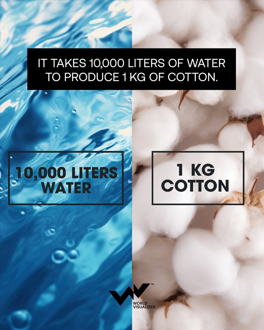 Why cotton is draining global water supplies more than we realise