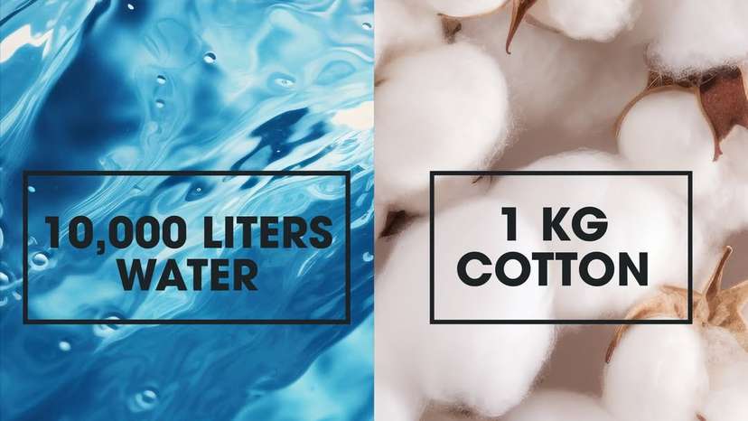 Why cotton is draining global water supplies more than we realise