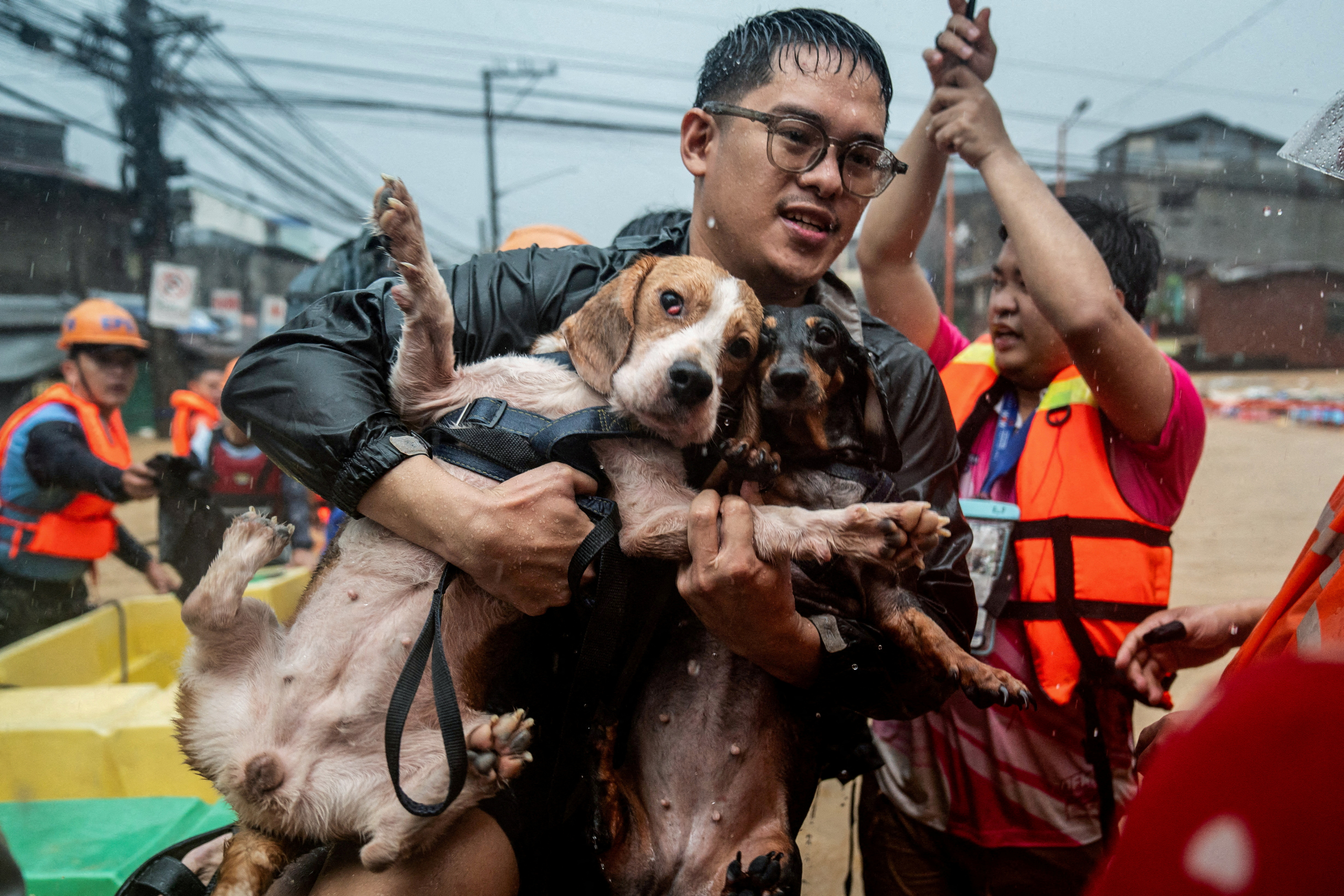 2024 in photos: the world under water