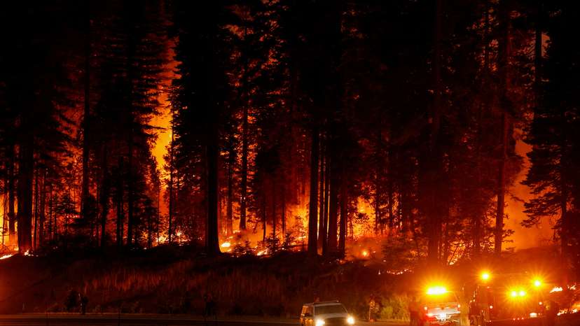 Park Fire, near Jonesville