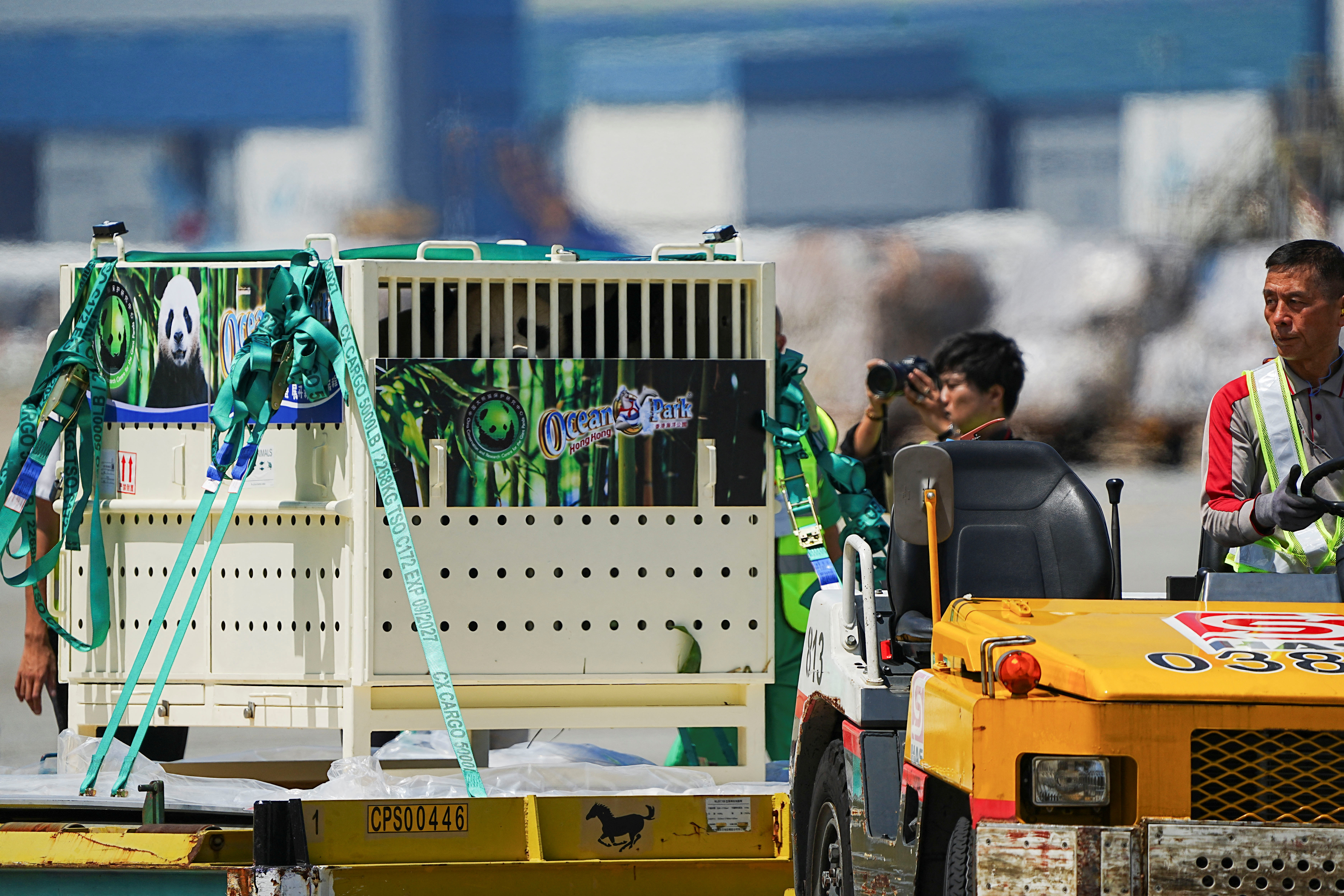 Giant pandas An An and Ke Ke arrive as a gift from China in Hong Kong