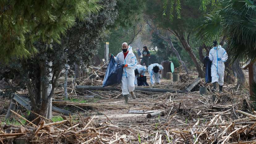 Detritus from Valencia floods in Albufera wetland, jeopardising ecosystem