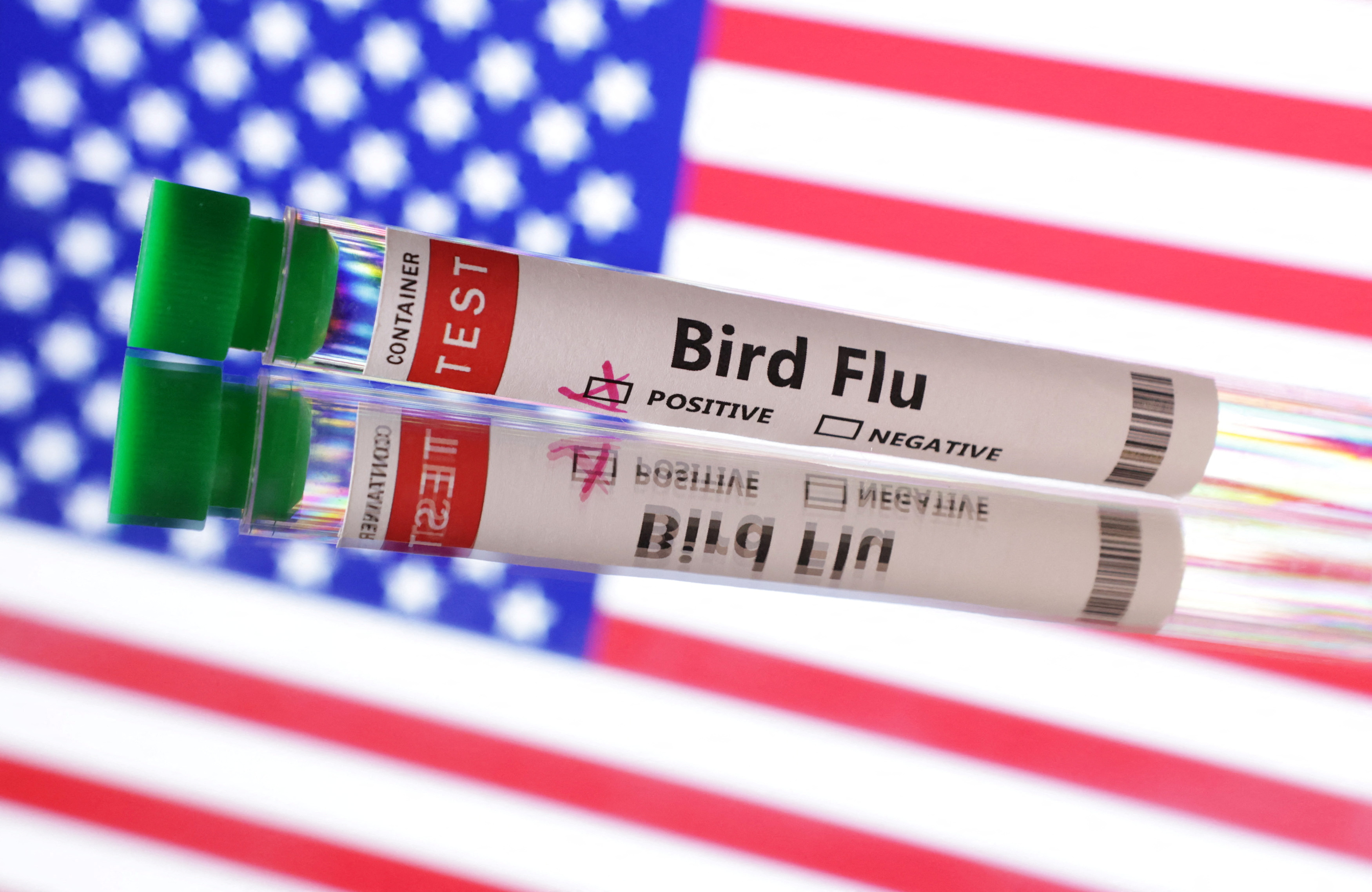 Illustration shows test tube labelled "Bird Flu" words and U.S. flag
