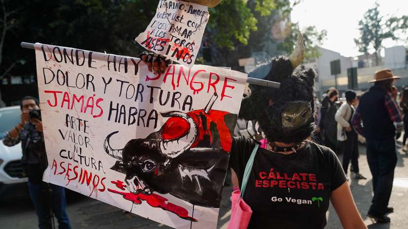 A demonstration against the return of bullfighting takes place outside the Plaza de Toros Mexico bullfighting ring, in Mexico City