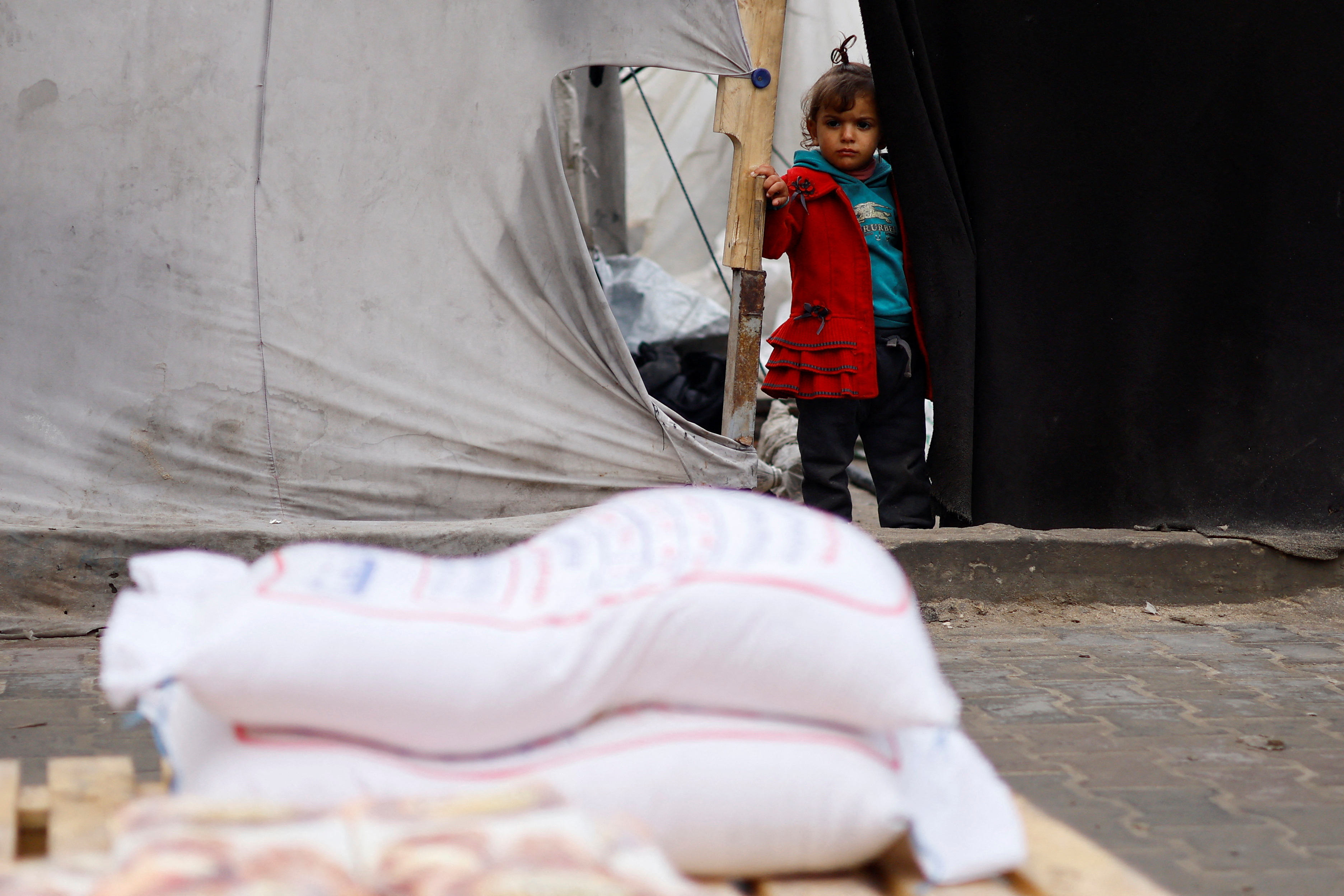 Palestinians gather to receive bags of flour distributed by UNRWA, in Rafah