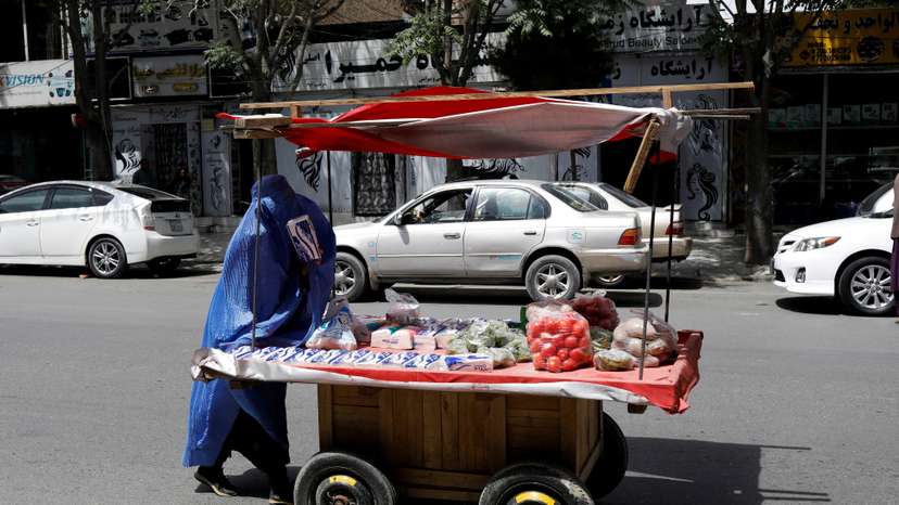FILE PHOTO: An Afghan woman pushes her cart in Kabul