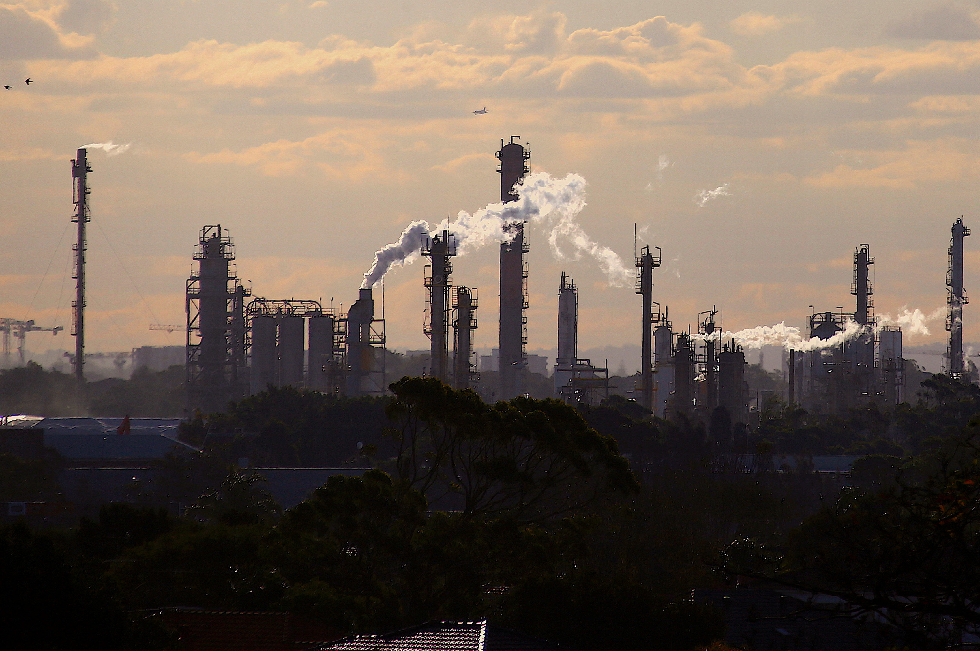 Birds and a plane are seen flying above emission from the chimneys of a chemical plant located near Port Botany in Sydney
