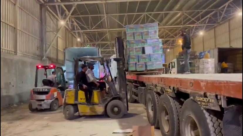 Aid enters Gaza via the Rafah Crossing