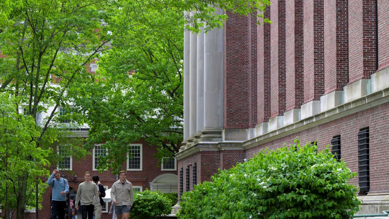 FILE PHOTO: Views of Harvard University