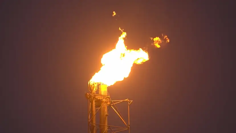 Nigerian Community fights Shell