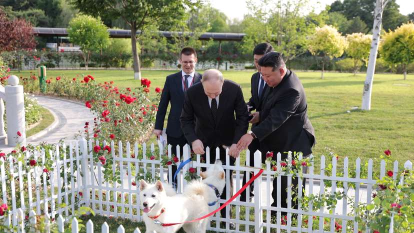 Russian President Putin visits North Korea