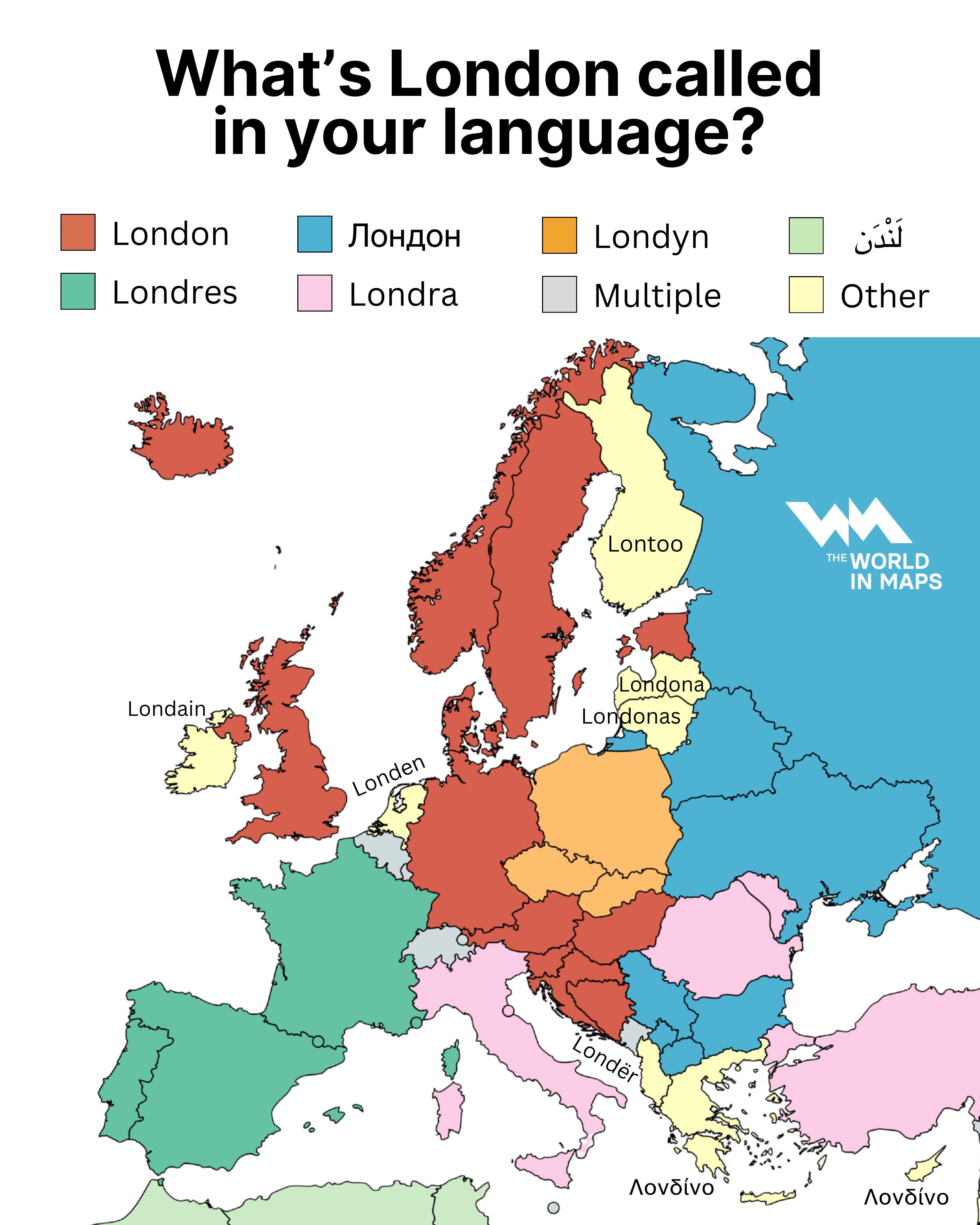 WhatsApp Image 2025-11-03 at 07.46.49