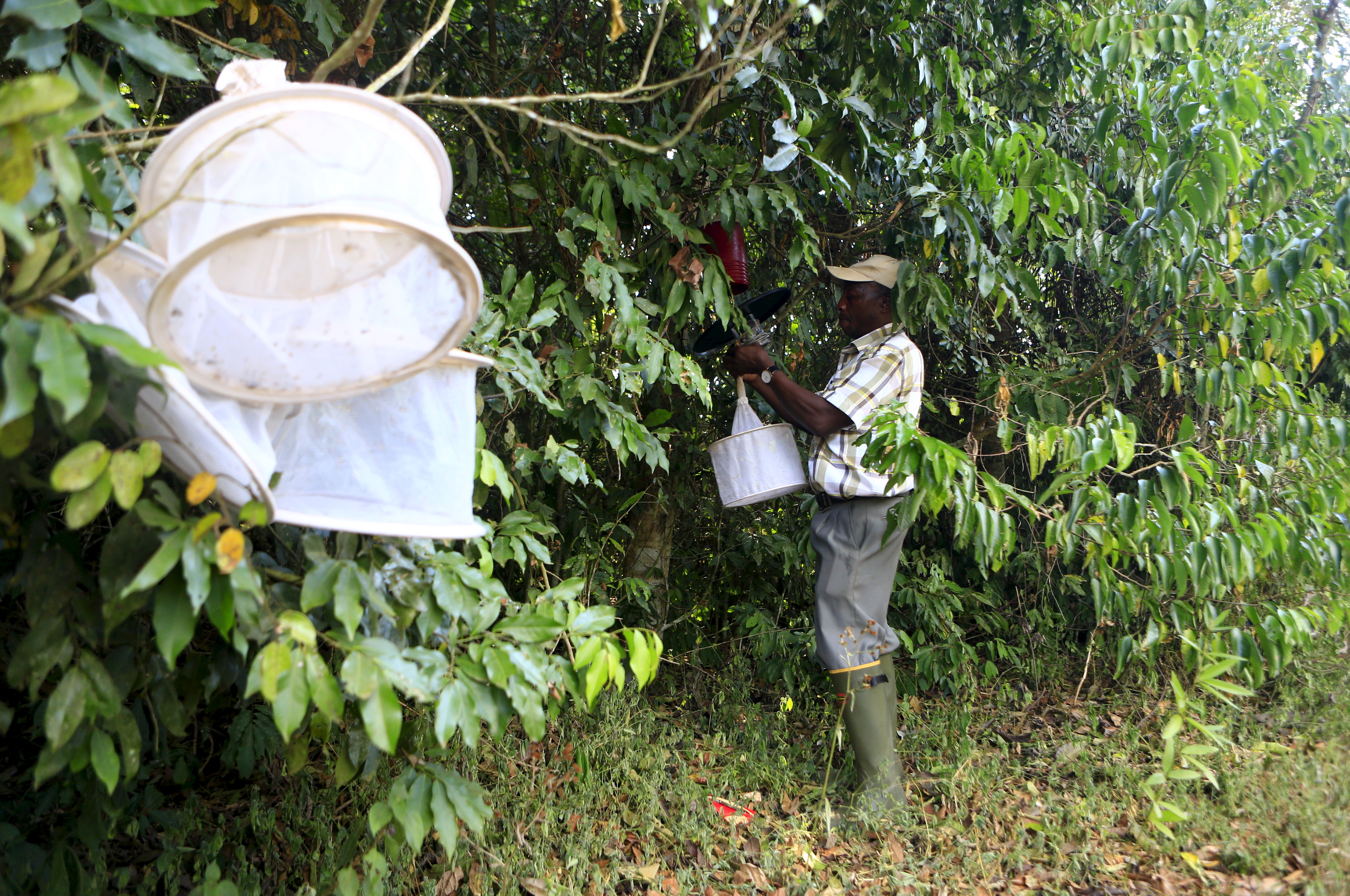 The Wider Image: Research in Zika Forest