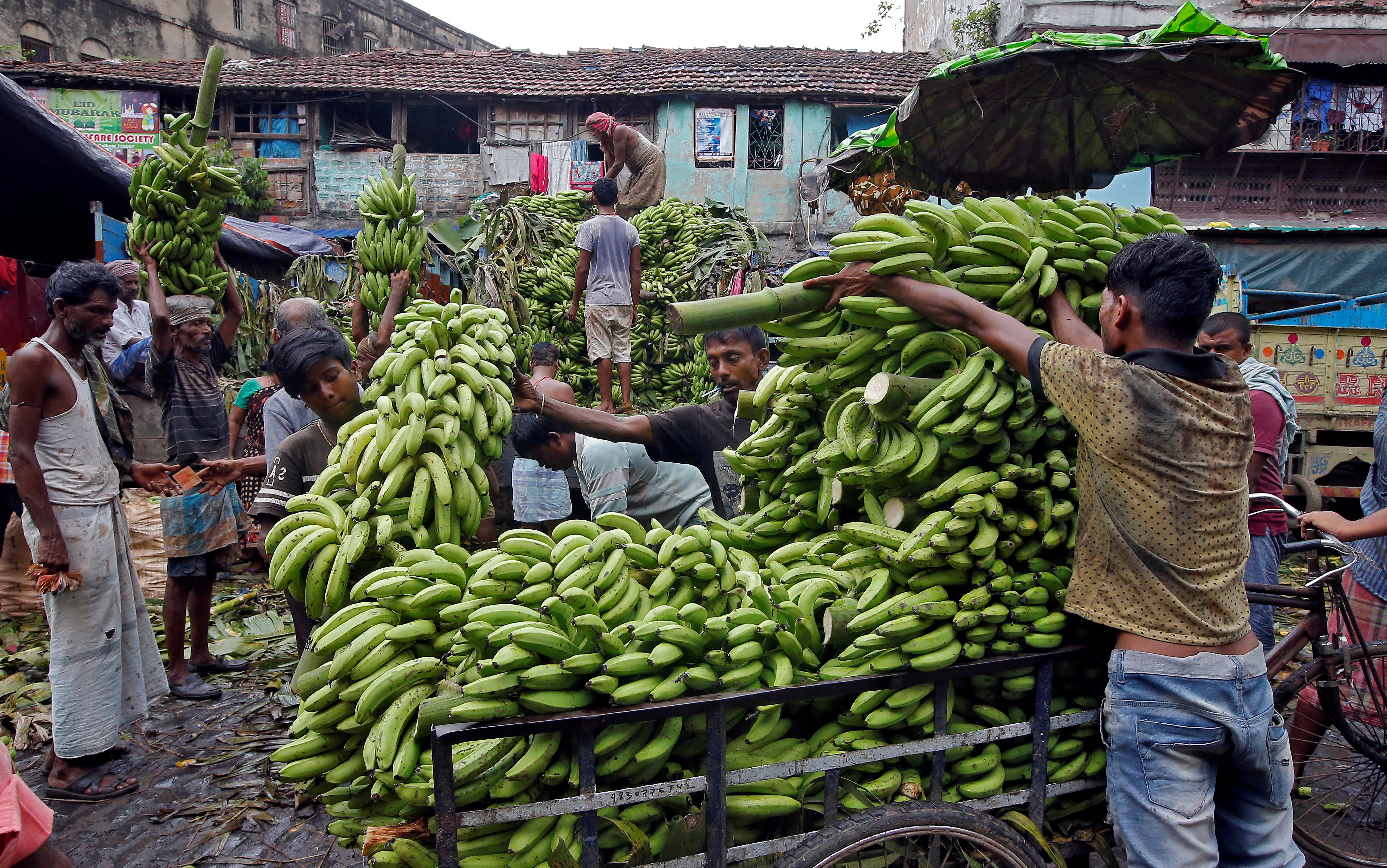 Labourers load bananas into a trishaw to transport them for sale at a wholesale fruit market in Kolkata